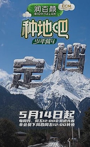 玉换浮生