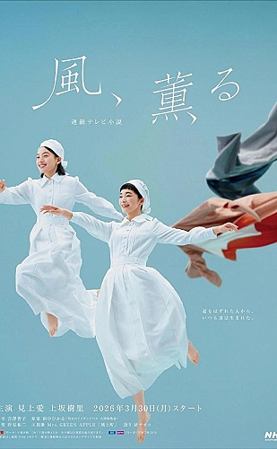 做我的专属队友